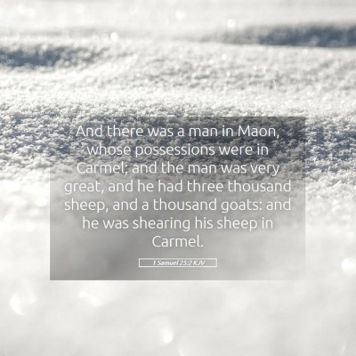 Picture 05 - 1 Samuel 25:2 KJV - And there was a man in Maon, whose possessions - Bible Verse Picture