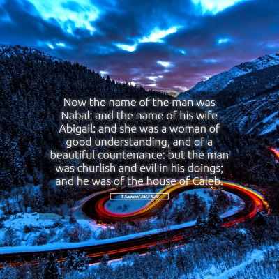 Picture 05 - 1 Samuel 25:3 KJV - Now the name of the man was Nabal; and the name - Bible Verse Picture