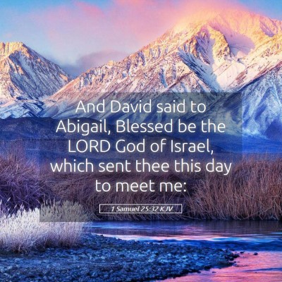 Picture 05 - 1 Samuel 25:32 KJV - And David said to Abigail, Blessed be the LORD - Bible Verse Picture