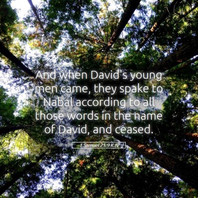 Picture 05 - 1 Samuel 25:9 KJV - And when David's young men came, they spake to - Bible Verse Picture