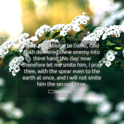 Picture 05 - 1 Samuel 26:8 KJV - Then said Abishai to David, God hath delivered - Bible Verse Picture