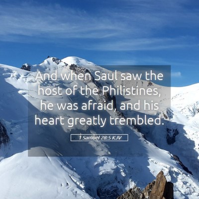 Picture 05 - 1 Samuel 28:5 KJV - And when Saul saw the host of the Philistines, he - Bible Verse Picture