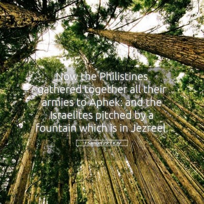 Picture 05 - 1 Samuel 29:1 KJV - Now the Philistines gathered together all their - Bible Verse Picture