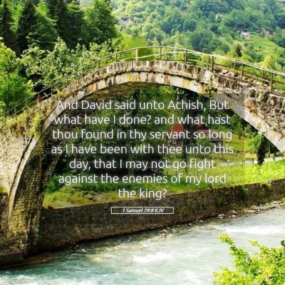 Picture 05 - 1 Samuel 29:8 KJV - And David said unto Achish, But what have I done? - Bible Verse Picture