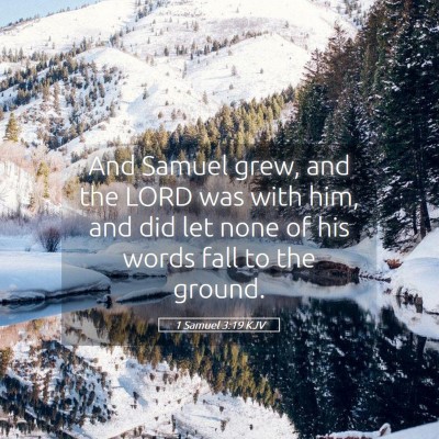 Picture 05 - 1 Samuel 3:19 KJV - And Samuel grew, and the LORD was with him, and - Bible Verse Picture