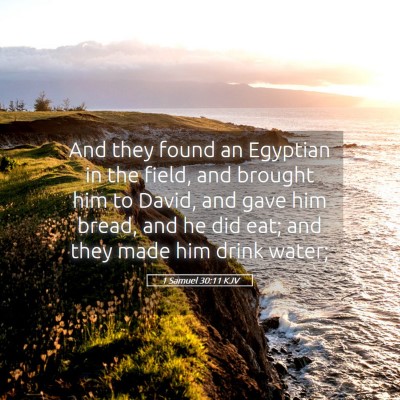 Picture 05 - 1 Samuel 30:11 KJV - And they found an Egyptian in the field, and - Bible Verse Picture
