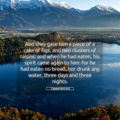 Picture 05 - 1 Samuel 30:12 KJV - And they gave him a piece of a cake of figs, and - Bible Verse Picture