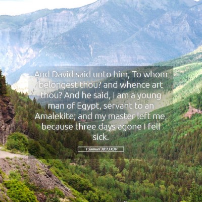 Picture 05 - 1 Samuel 30:13 KJV - And David said unto him, To whom belongest thou? - Bible Verse Picture