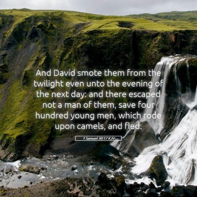 Picture 05 - 1 Samuel 30:17 KJV - And David smote them from the twilight even unto - Bible Verse Picture
