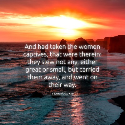 Picture 05 - 1 Samuel 30:2 KJV - And had taken the women captives, that were - Bible Verse Picture