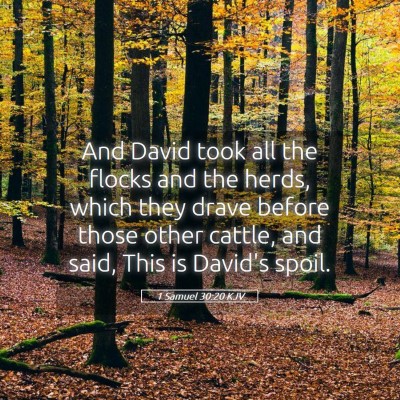 Picture 05 - 1 Samuel 30:20 KJV - And David took all the flocks and the herds, - Bible Verse Picture