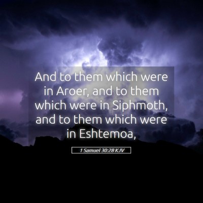 Picture 05 - 1 Samuel 30:28 KJV - And to them which were in Aroer, and to them - Bible Verse Picture