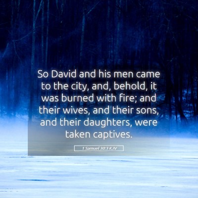 Picture 05 - 1 Samuel 30:3 KJV - So David and his men came to the city, and, - Bible Verse Picture