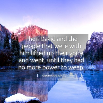 Picture 05 - 1 Samuel 30:4 KJV - Then David and the people that were with him - Bible Verse Picture