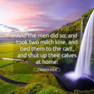 Picture 05 - 1 Samuel 6:10 KJV - And the men did so; and took two milch kine, and - Bible Verse Picture