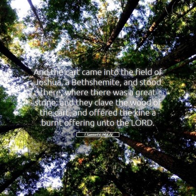 Picture 05 - 1 Samuel 6:14 KJV - And the cart came into the field of Joshua, a - Bible Verse Picture