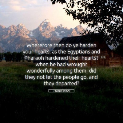 Picture 05 - 1 Samuel 6:6 KJV - Wherefore then do ye harden your hearts, as the - Bible Verse Picture
