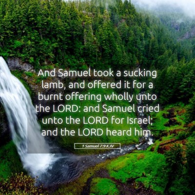 Picture 05 - 1 Samuel 7:9 KJV - And Samuel took a sucking lamb, and offered it - Bible Verse Picture