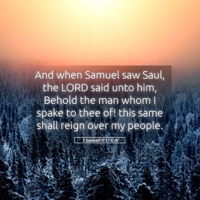 Picture 05 - 1 Samuel 9:17 KJV - And when Samuel saw Saul, the LORD said unto him, - Bible Verse Picture
