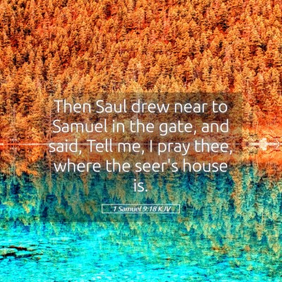 Picture 05 - 1 Samuel 9:18 KJV - Then Saul drew near to Samuel in the gate, and - Bible Verse Picture