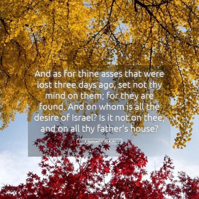 Picture 05 - 1 Samuel 9:20 KJV - And as for thine asses that were lost three days - Bible Verse Picture