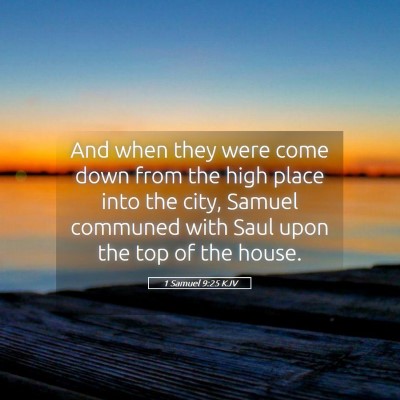 Picture 05 - 1 Samuel 9:25 KJV - And when they were come down from the high place - Bible Verse Picture