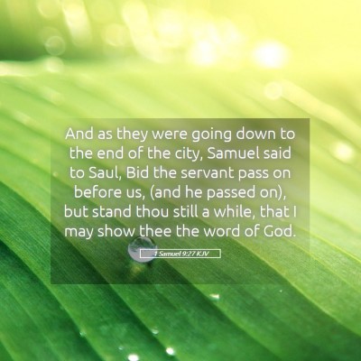 Picture 05 - 1 Samuel 9:27 KJV - And as they were going down to the end of the - Bible Verse Picture