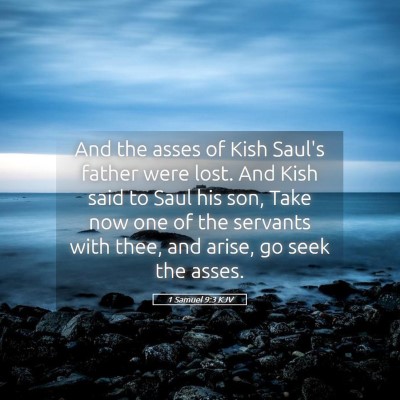 Picture 05 - 1 Samuel 9:3 KJV - And the asses of Kish Saul's father were lost. - Bible Verse Picture
