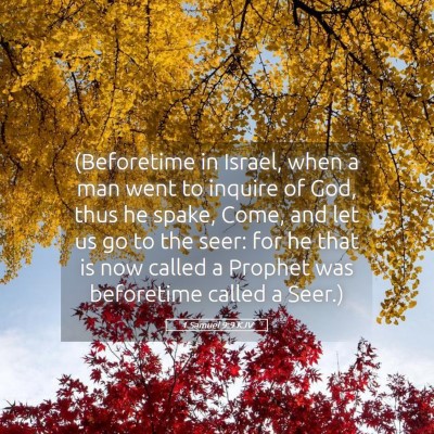 Picture 05 - 1 Samuel 9:9 KJV - (Beforetime in Israel, when a man went to inquire - Bible Verse Picture