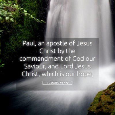 Picture 05 - 1 Timothy 1:1 KJV - Paul, an apostle of Jesus Christ by the - Bible Verse Picture