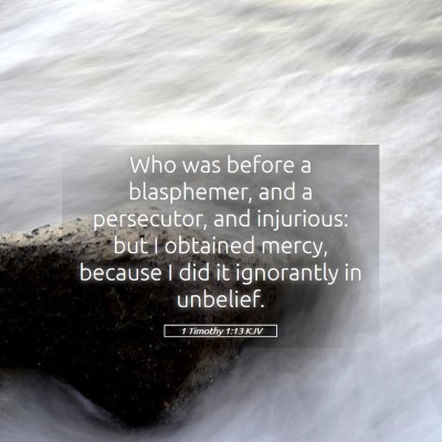 Picture 05 - 1 Timothy 1:13 KJV - Who was before a blasphemer, and a persecutor, - Bible Verse Picture