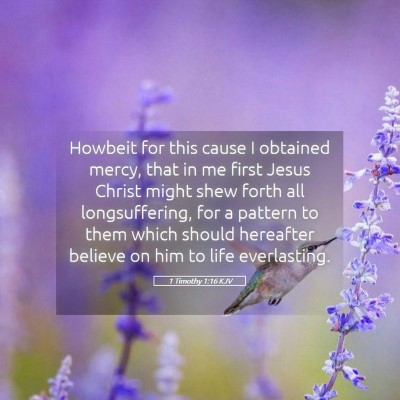 Picture 05 - 1 Timothy 1:16 KJV - Howbeit for this cause I obtained mercy, that in - Bible Verse Picture