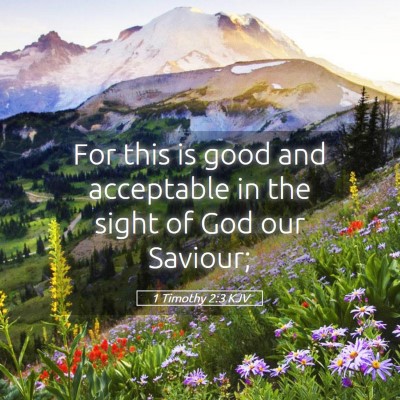 Picture 05 - 1 Timothy 2:3 KJV - For this is good and acceptable in the sight of - Bible Verse Picture