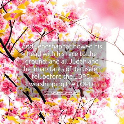 Picture 05 - 2 Chronicles 20:18 KJV - And Jehoshaphat bowed his head with his face to - Bible Verse Picture