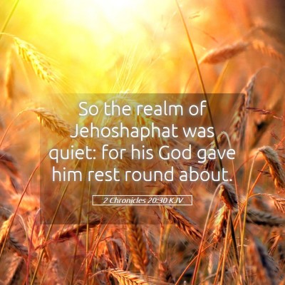 Picture 05 - 2 Chronicles 20:30 KJV - So the realm of Jehoshaphat was quiet: for his - Bible Verse Picture