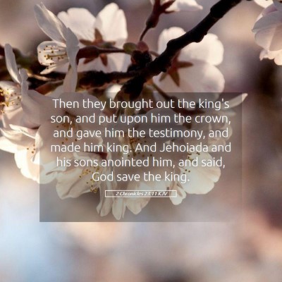 Picture 05 - 2 Chronicles 23:11 KJV - Then they brought out the king's son, and put - Bible Verse Picture