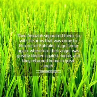 Picture 05 - 2 Chronicles 25:10 KJV - Then Amaziah separated them, to wit, the army - Bible Verse Picture