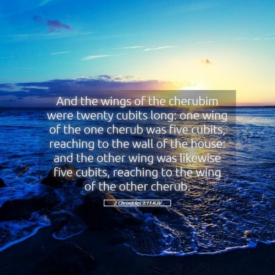 Picture 05 - 2 Chronicles 3:11 KJV - And the wings of the cherubim were twenty cubits - Bible Verse Picture