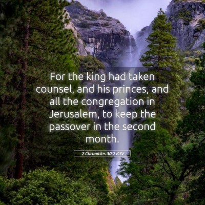 Picture 05 - 2 Chronicles 30:2 KJV - For the king had taken counsel, and his princes, - Bible Verse Picture