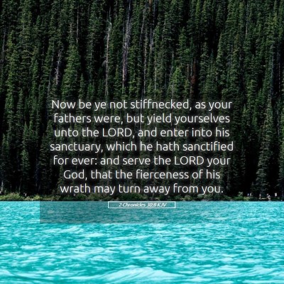 Picture 05 - 2 Chronicles 30:8 KJV - Now be ye not stiffnecked, as your fathers were, - Bible Verse Picture