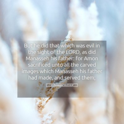 Picture 05 - 2 Chronicles 33:22 KJV - But he did that which was evil in the sight of - Bible Verse Picture
