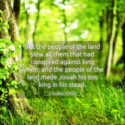 Picture 05 - 2 Chronicles 33:25 KJV - But the people of the land slew all them that had - Bible Verse Picture