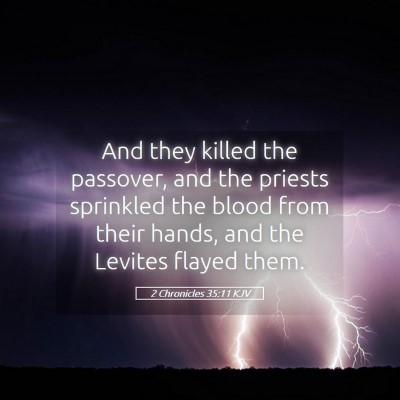 Picture 05 - 2 Chronicles 35:11 KJV - And they killed the passover, and the priests - Bible Verse Picture