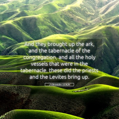 Picture 05 - 2 Chronicles 5:5 KJV - And they brought up the ark, and the tabernacle - Bible Verse Picture