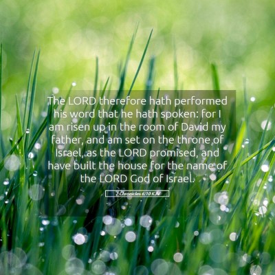 Picture 05 - 2 Chronicles 6:10 KJV - The LORD therefore hath performed his word that - Bible Verse Picture