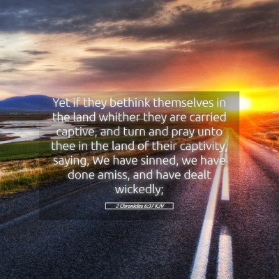 Picture 05 - 2 Chronicles 6:37 KJV - Yet if they bethink themselves in the land - Bible Verse Picture