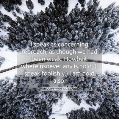 Picture 05 - 2 Corinthians 11:21 KJV - I speak as concerning reproach, as though we had - Bible Verse Picture