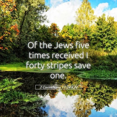Picture 05 - 2 Corinthians 11:24 KJV - Of the Jews five times received I forty stripes - Bible Verse Picture
