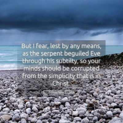 Picture 05 - 2 Corinthians 11:3 KJV - But I fear, lest by any means, as the serpent - Bible Verse Picture