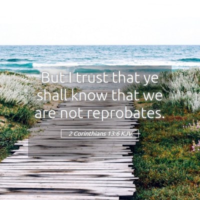 Picture 05 - 2 Corinthians 13:6 KJV - But I trust that ye shall know that we are not - Bible Verse Picture